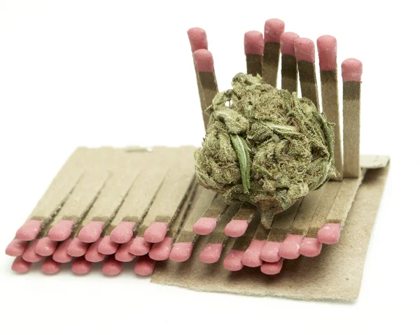 Marijuana — Stock Photo, Image