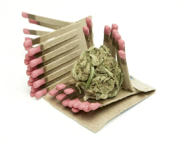 Marijuana — Stock Photo, Image