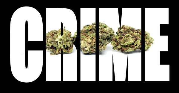 Marijuana Crime — Stock Photo, Image
