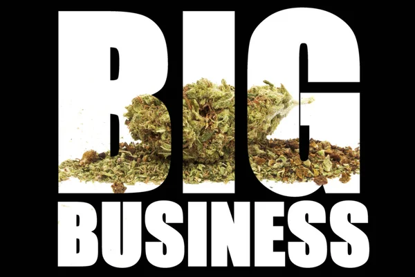 Big Business Marijuana — Stockfoto