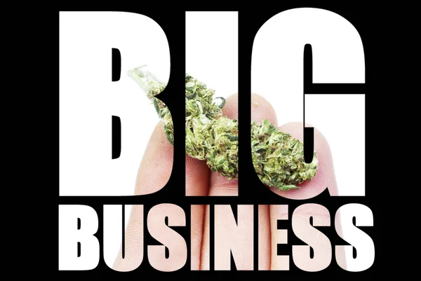 Velký byznys marihuana — Stock fotografie