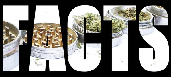 Marihuana fakty — Zdjęcie stockowe