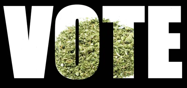 Marihuana a konopí, hlasování — Stock fotografie