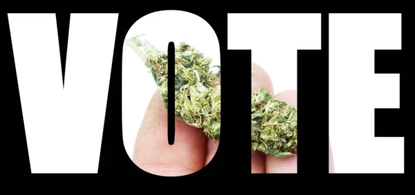 Marihuana y Cannabis, Vote — Foto de Stock
