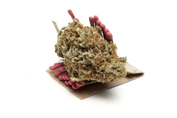 Marihuana — Stockfoto