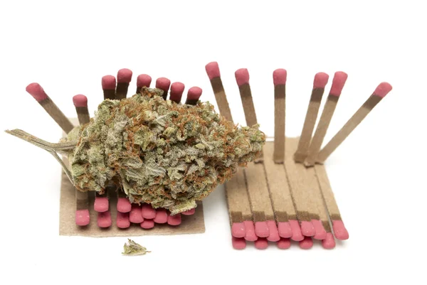 Marihuana — Stockfoto