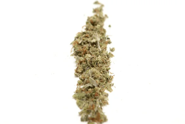 Marihuana — Stockfoto