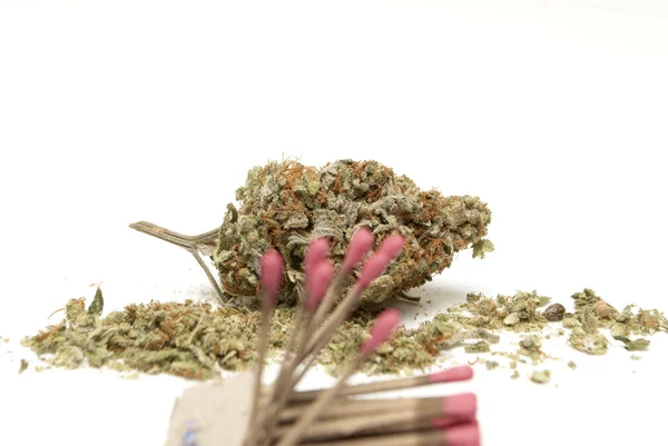 Marijuana — Stock Photo, Image