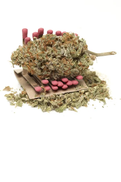 Marihuana — Foto de Stock