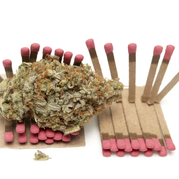 Marihuana — Stockfoto