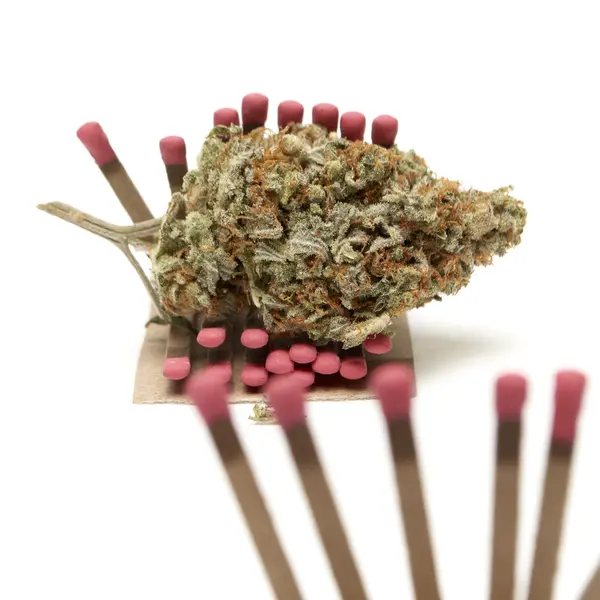 Marihuana — Stockfoto