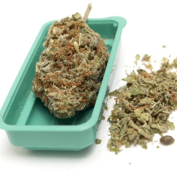 Marijuana — Stock Photo, Image