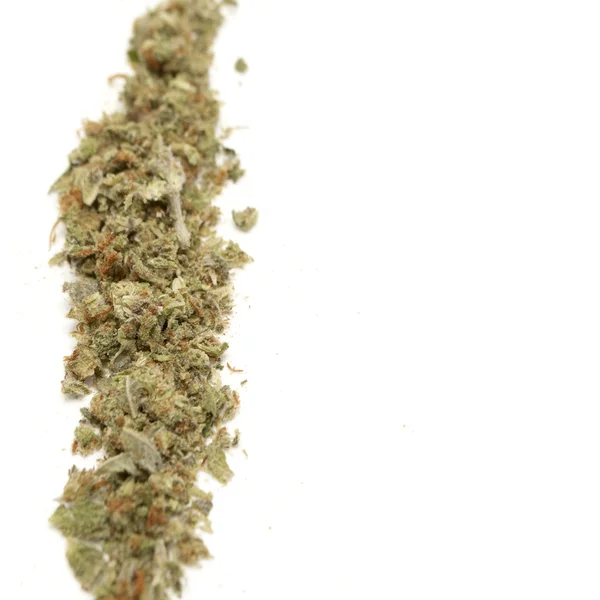 Marihuana — Stockfoto