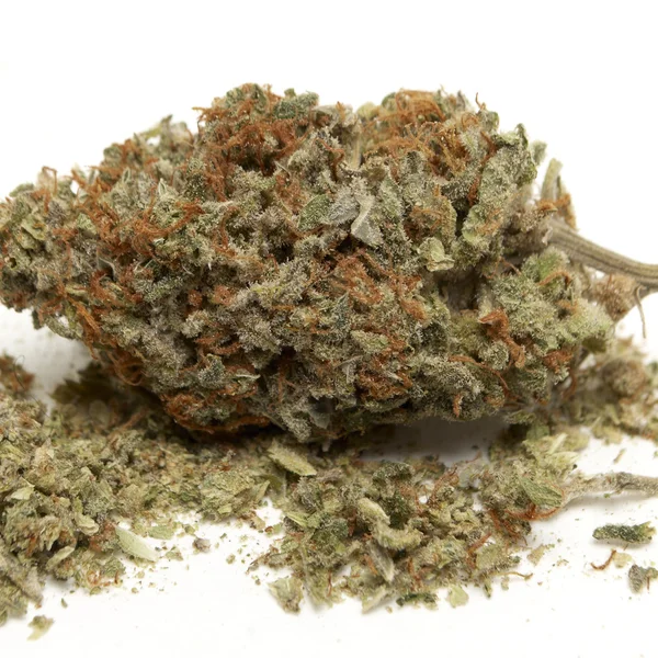 Marihuana — Stockfoto