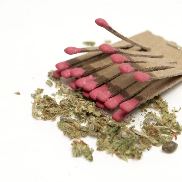 Marijuana — Stock Photo, Image