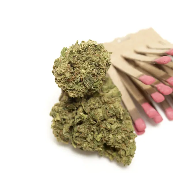 Marijuana — Stock Photo, Image