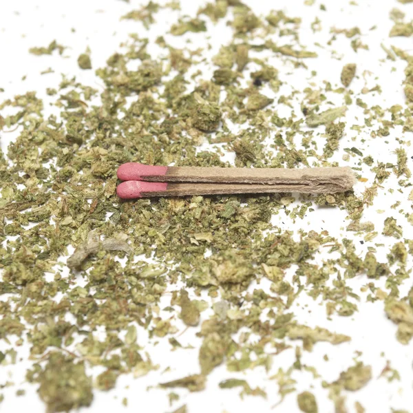 Marihuana — Stockfoto