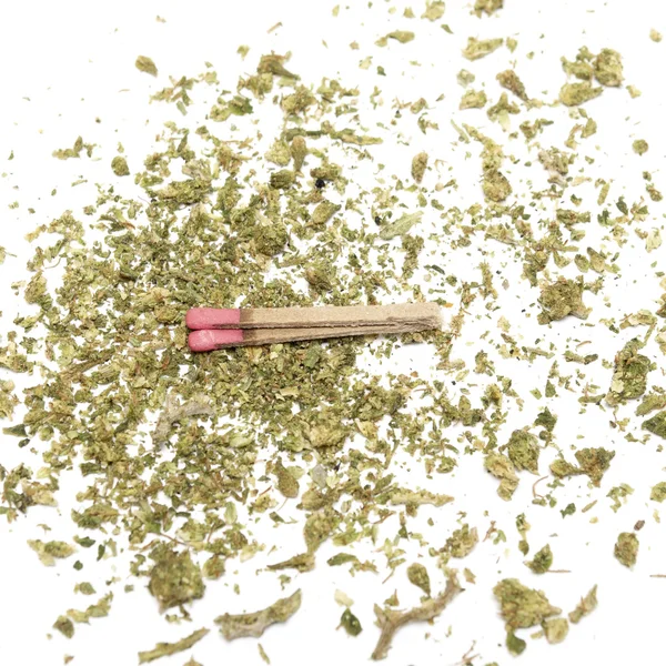 Marihuana — Stockfoto