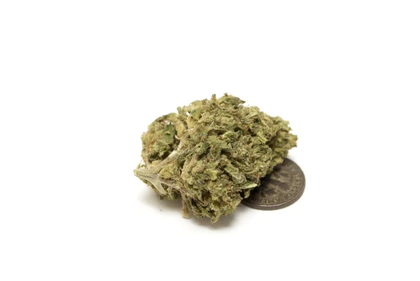 Marihuana — Stockfoto