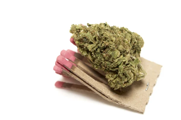 Marijuana — Stock Photo, Image