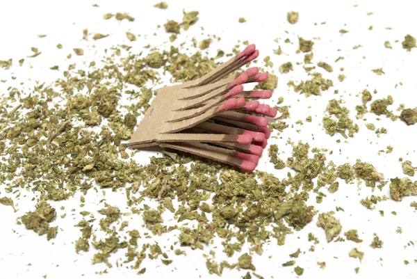 Marijuana — Stock Photo, Image