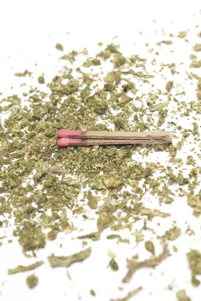 Marijuana — Photo