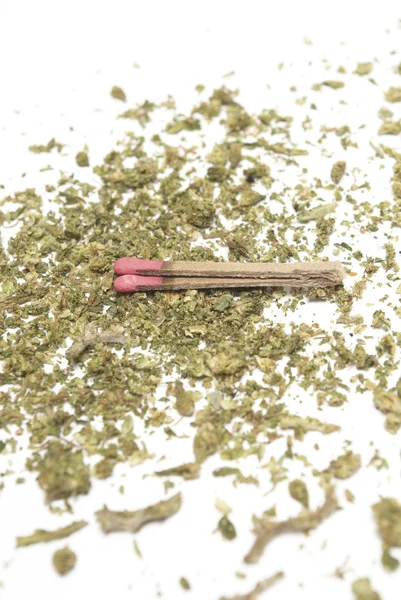 Marihuana — Stockfoto