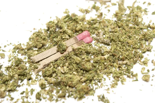 Marihuana — Stockfoto