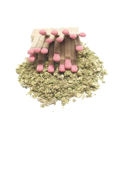 Marihuana — Stockfoto