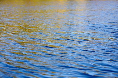blue water background. texture of water