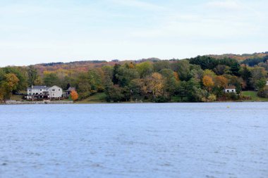 Doğal görünümü ağaçlar ve göl