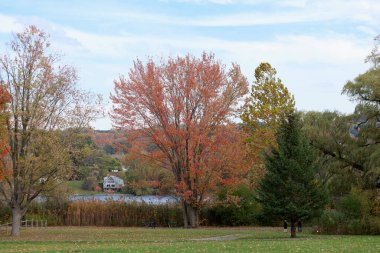 Sakin göl kenarındaki renkli ağaçlar