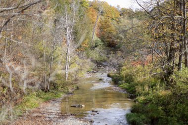 Sonbahar ormanlarında akan sakin bir nehir.