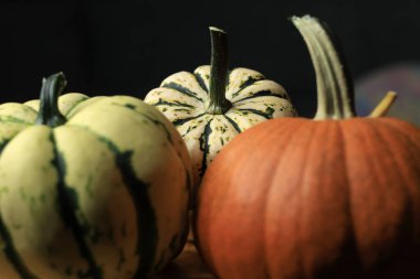 Canlı Mini Kabak ve Kabaklarıyla Rustik Sonbahar Masa Ayarları