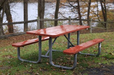 Bir parkta boş ahşap Bank