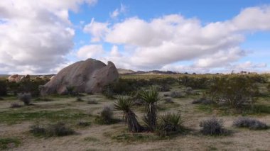 Joshua Tree 'de Çöl manzarası ve Granit Kaya oluşumlarının geniş panoramik görüntüsü