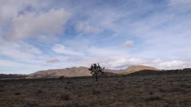 Joshua Tree Ulusal Parkı 'nda Nefes Kesen Sinema Sürüşü Çölleri