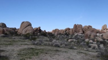 Joshua Tree 'de Çöl manzarası ve Granit Kaya oluşumlarının geniş panoramik görüntüsü