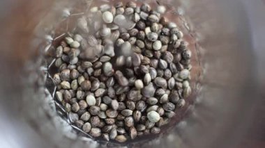 Tıbbi Marihuana Kenevir Tohumlarının Cam kavanoza döküldüğü Makro Yavaş Sinema Videosu