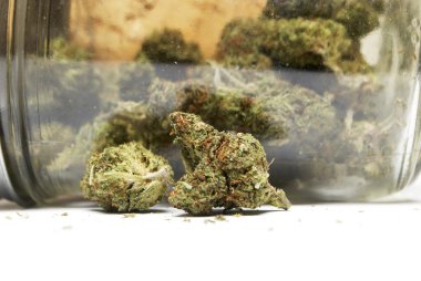 Marihuana ya da esrar tomurcukları