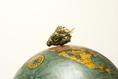 Marihuana ya da esrar tomurcukları