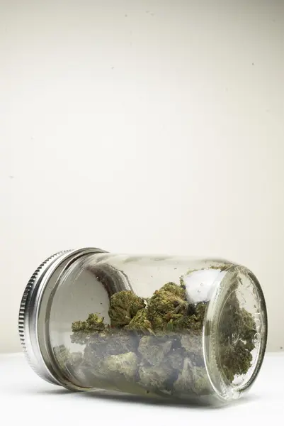 Marihuana a konopí Bud — Stock fotografie