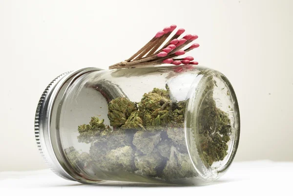 Marihuana y Cannabis Bud —  Fotos de Stock