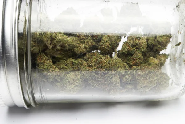 Marihuana en Cannabis Bud — Stockfoto