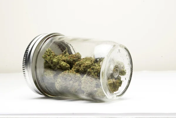 Marijuana et bourgeon de cannabis — Photo