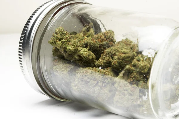 Marihuana ja kannabis Bud — kuvapankkivalokuva