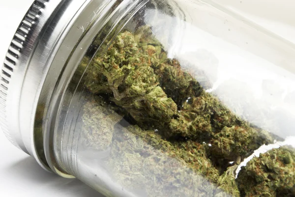 Marihuana i konopi Bud — Zdjęcie stockowe