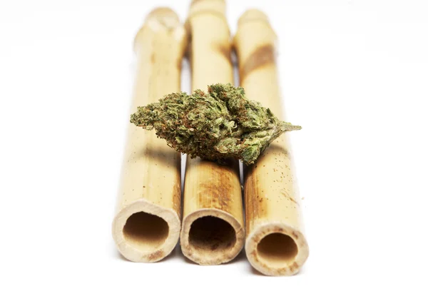 Marihuána és a Cannabis Bud — Stock Fotó