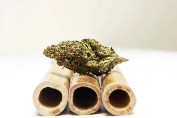 Marihuana y Cannabis Bud — Foto de Stock