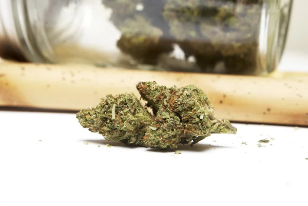 Marijuana and Cannabis Bud — Stock Photo, Image